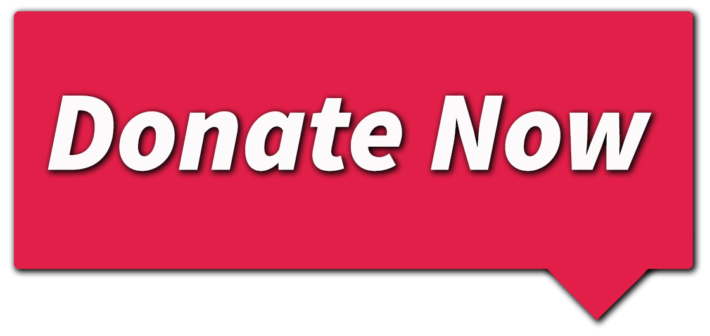 Donate Now Button-EN